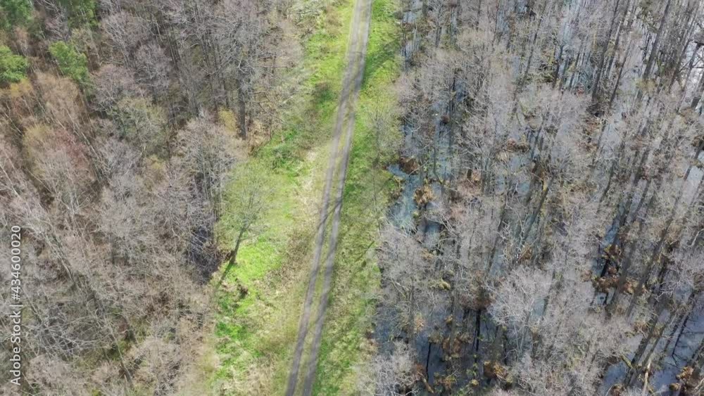 Aerial above shot following dirt road surrounded by wet forest. Leafless trees around Aerial above shot following dirt road surrounded by wet forest. Leafless trees around