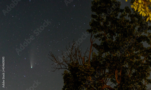 Neowise comet, C/2020 F3 photo