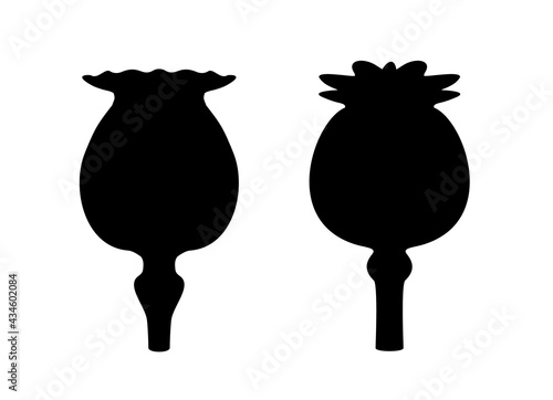 Poppy heads black silhouette. Icon, sign, logo. Flat vector illustration isolated on white. Close-up. EPS10.