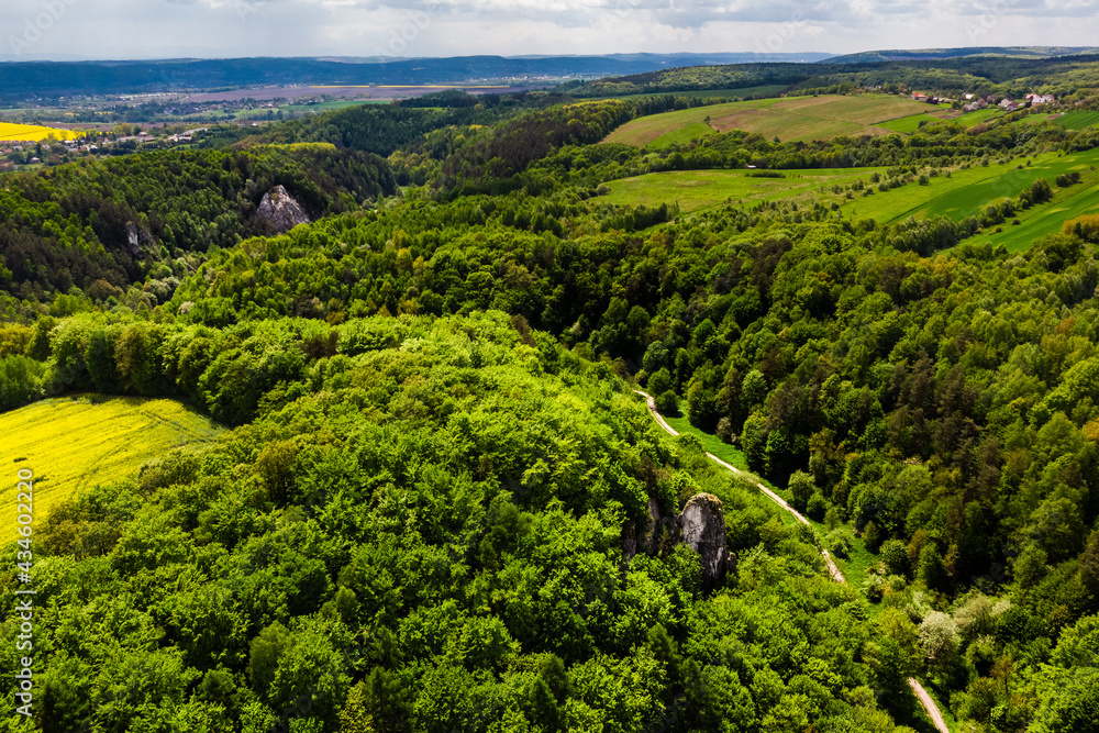 dolina kobylańska, wiosna, dron dolina kobylańska, wiosna, dron