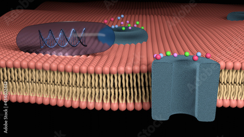 Quadro su tela Gene therapy in a transparent soft gelatin capsule on a cell membrane, future tr