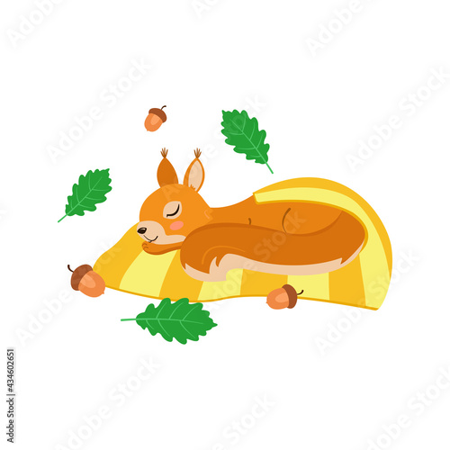 Little baby squirrel sleeps wrapped in a yellow blanket. Around the leaves of oak, acorns. Cute cartoon design for babies, nursery, playroom. Flat vector illustration