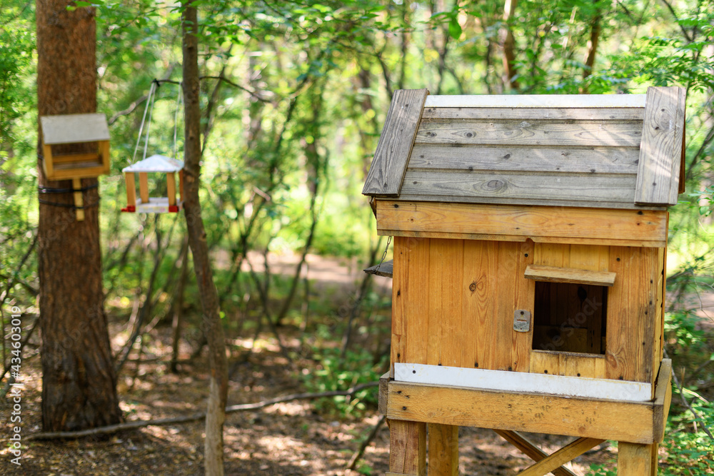 Hanging bird feeder in the forest on a green background. Animal concept care Hanging bird feeder in the forest on a green background. Animal concept care