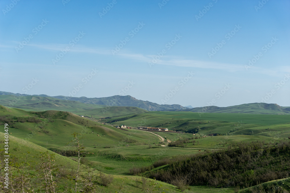 Pastoral landscape in green Kahetia fields