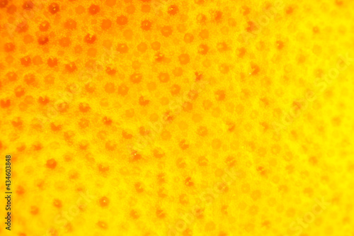 Wallpaper Mural Close up photo of Grapefruit peel texture. Exotic ripe fruit background, macro view. .Human skin problem concept, acne and cellulite.   Beautiful nature wallpaper. Torontodigital.ca