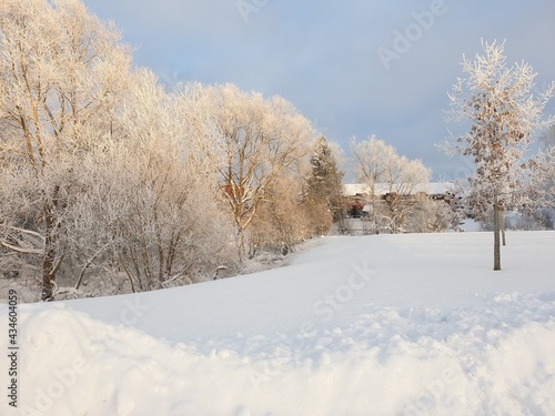 Silver winter in Finlland