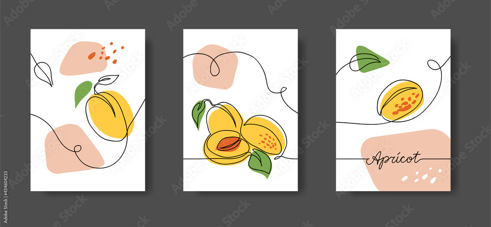 Apricot fruits, wall line art decor. Set of vector illustrations, one continuous line decoration of apricots for kitchen or cafe