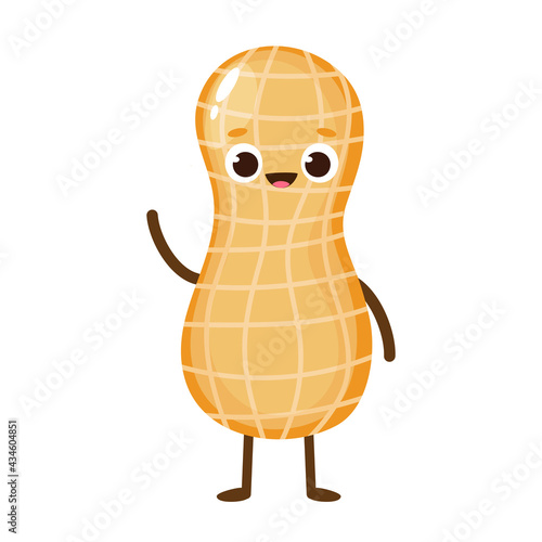 Cute happy cartoon peanut character