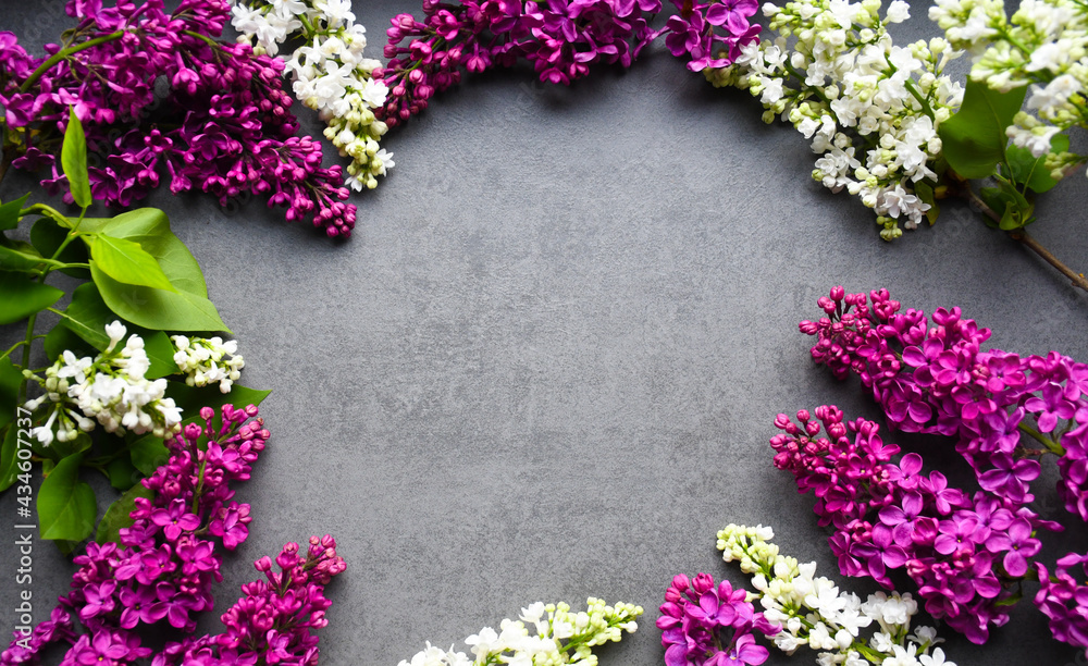 Fresh, spring flowers of lilac on a gray background. Top view with copy space. Summer nature landscape with fresh flowers. Fresh, spring flowers of lilac on a gray background. Top view with copy space. Summer nature landscape with fresh flowers.