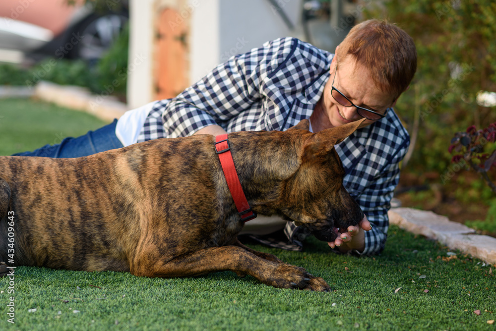 Senior woman gives a dog a small treat in garden. Senior woman gives a dog a small treat in garden.