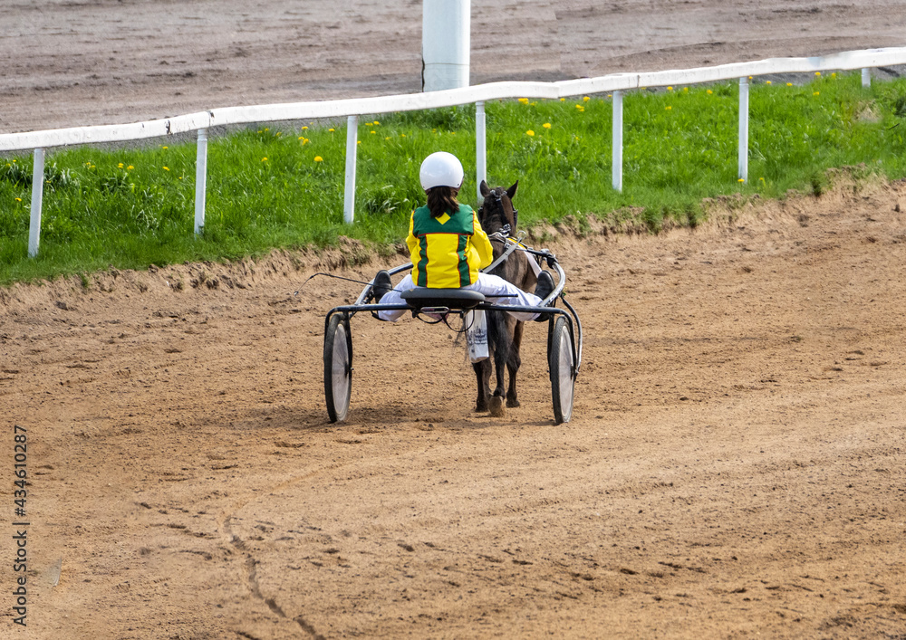 children's pony runs at the racetrack on a sunny day children's pony runs at the racetrack on a sunny day