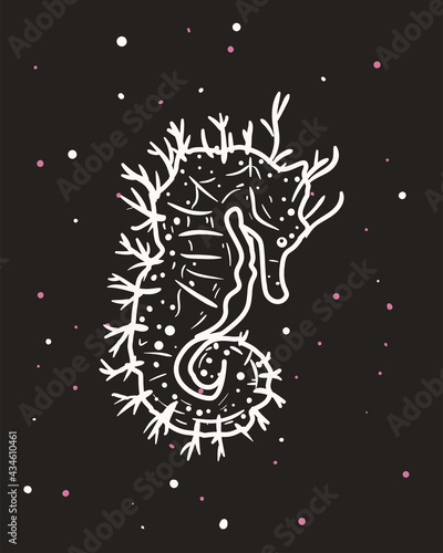 white sea horse animal