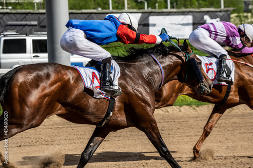 Arabian horse racing at the racetrack on a sunny Sunday afternoon © константин константи