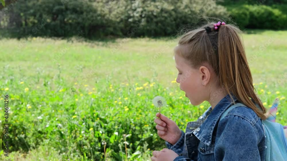 A child blows on a dandelion in a spring park. A little girl holds a flower in her hands and blows on it.