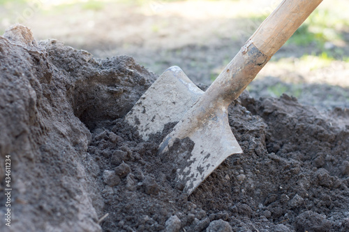 Shovel in the ground, preparing land for planting a vegetable garden