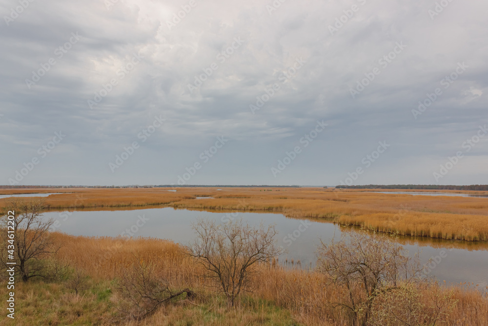 Low river banks and islets overgrown with reeds and bushes, usually flooded in spring. Low river banks and islets overgrown with reeds and bushes, usually flooded in spring.