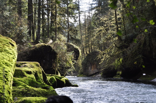 Green river 