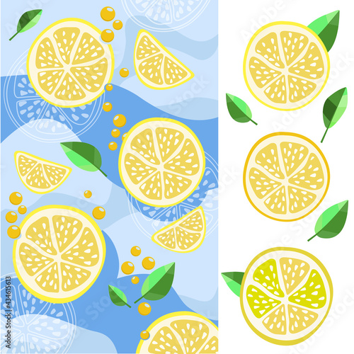 Vector lemon. Fresh lemon fruit, collection of vector illustrations