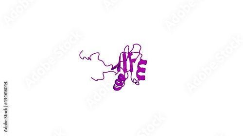 360º 3D rendering of a biological molecule. Solution structure of the RNA binding domain of IGF-II mRNA-binding protein 2 photo