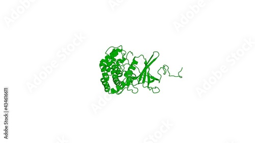 360º 3D rendering of a biological molecule. NMR Solution Structure of Human Vaccinia-related Kinase 1 (VRK1) Reveals the C-terminal Tail Essential for Its Structural Stability and Autocatalytic Activi