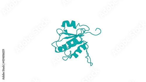 360º 3D rendering of a biological molecule. Solution structure of the Thioredoxin-like domain of 
Phosducin-like protein 2(PDCL2)
