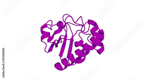 360º 3D rendering of a biological molecule. A Hybrid Mechanism for the Synechocystis Arsenate Reductase Revealed by Structural Snapshots during Arsenate Reduction.