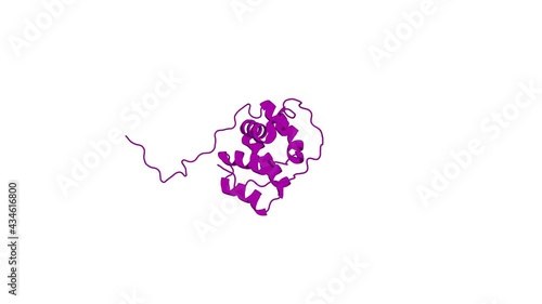 360º 3D rendering of a biological molecule. CARD-mediated autoinhibition of cIAP1's E3 ligase activity suppresses cell proliferation and migration.