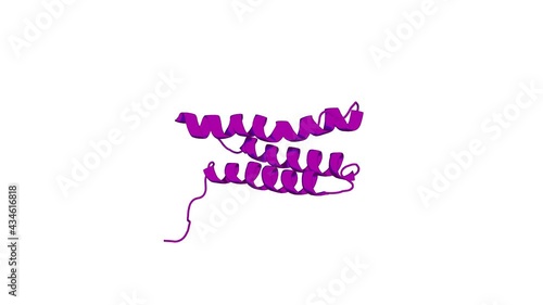 360º 3D rendering of a biological molecule. The C-terminal BAG domain of BAG5 induces conformational changes of the Hsp70 nucleotide-binding domain for ADP-ATP exchange