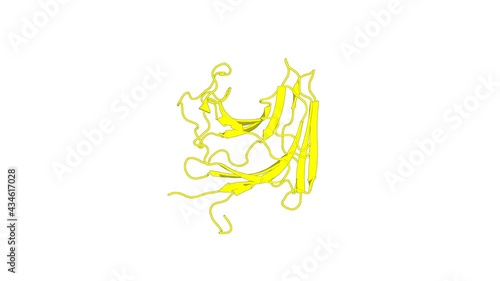 360º 3D rendering of a biological molecule. Solution structure, dynamics and binding studies of a family 11 carbohydrate-binding module from Clostridium thermocellum (CtCBM11).