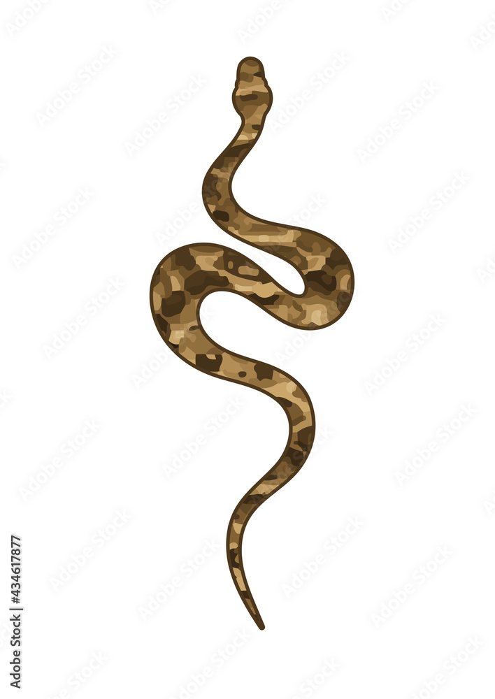 Fototapeta premium Silhouette of a snake with abstract khaki spots. Vector illustration EPS10
