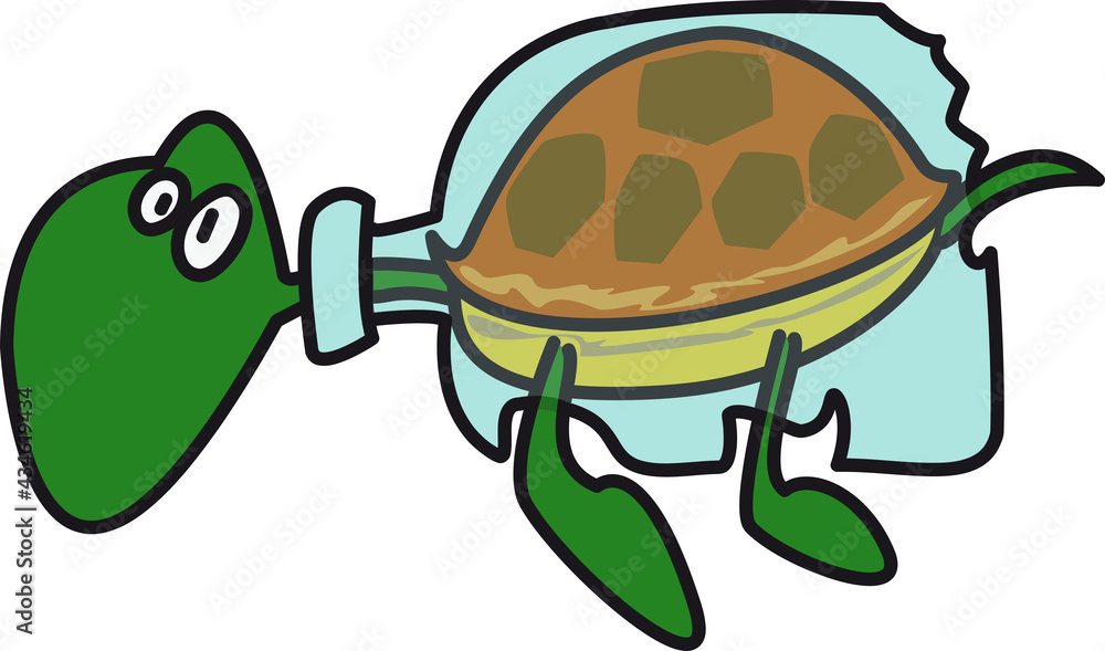 BOTTLE TURTLE