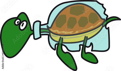 BOTTLE TURTLE