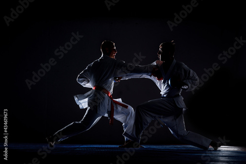 Portrait of a martial arts master on the black background © qunica.com