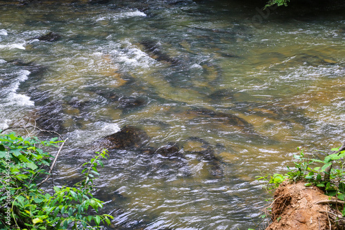 a close up of clear green river water with rocks underneath with lush green plants at Vickery Creek in Roswell Georgia photo