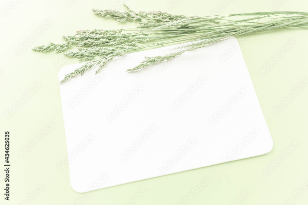 Decorative floral mockup composition. Herbs on a pale green table. White blank paper card with copy space. Decorative floral mockup composition. Herbs on a pale green table. White blank paper card with copy space.