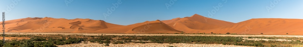 rpanorama of red dune landscape of sossusvlei- acacia tree, savannah and red dunes