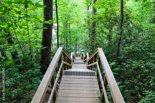 a long brown staircase done the side of a mountain in the forest surrounded by tall lush green trees with a wooden bridge near by at Vickery Creek Waterfall in Roswell Georgia photo