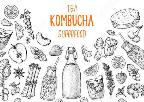 Kombucha tea and ingredients for kombucha sketch. Hand drawn vector illustration. Kombucha drink. Tea mushroom, tea fungus, or Manchurian mushroom.