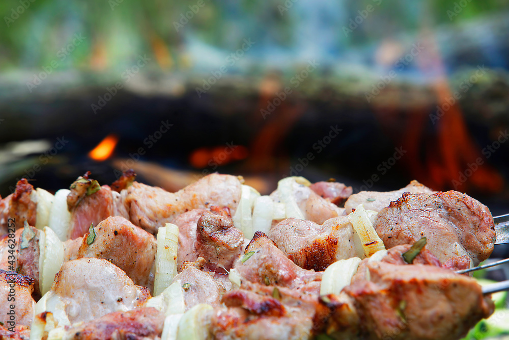 Juicy meat with onions and spices on skewers is fried on a fire in nature. Barbecue. Picnic. Grill.	