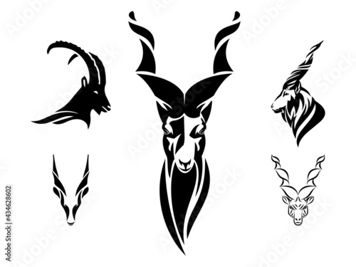 Snake Eater Markhor (Capra falconeri) Mountain goat. Head black and white vector design. Can be used for logo and tattoo. photo