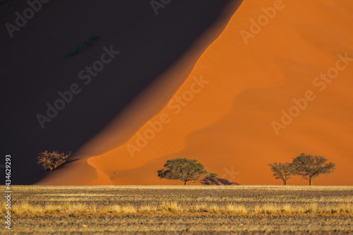 beautiful red dunes in sossusvlei national park namibia 2021