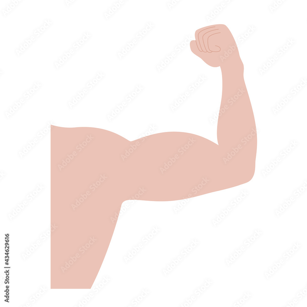 Strong biceps and triceps Strong biceps and triceps