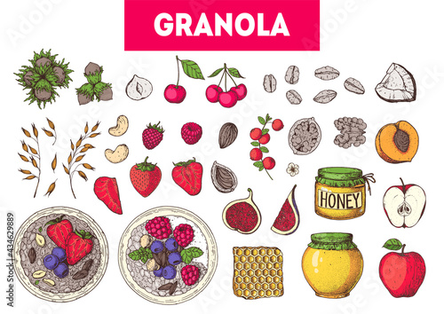 Granola ingredients illustration. Oat flakes , berries, fruits and nuts hand drawn. Granola Breakfast. Muesli food menu design. Hand drawn vector illustration. Granola design