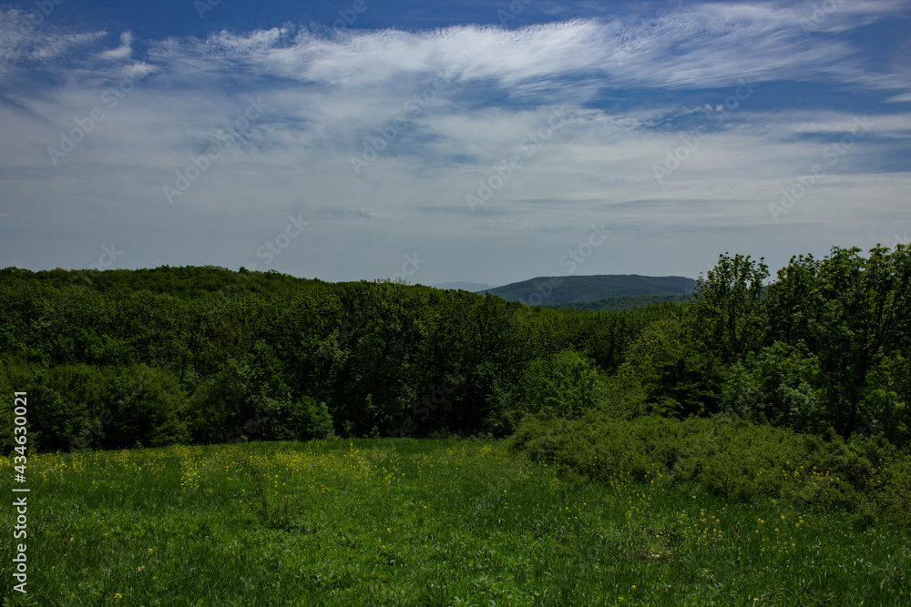 landscape with sky