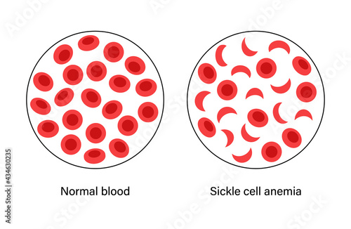Blood structure concept