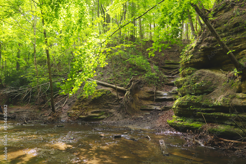 Oglesby, Illinois, USA - May 16th, 2021. Forest trail. Scenic panoramic view of the Canyon in National Park. Mountain hiking trail. Oglesby, Illinois, USA - May 16th, 2021. Forest trail. Scenic panoramic view of the Canyon in National Park. Mountain hiking trail.