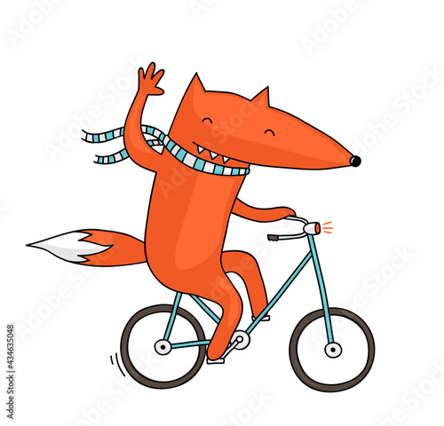 Cute and funny illustration of a fox riding a bike © zsooofija