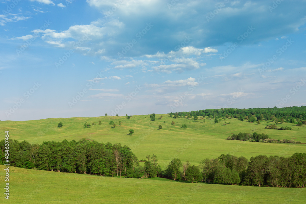 Blue sky and green fields with forest. Blue sky and green fields with forest.