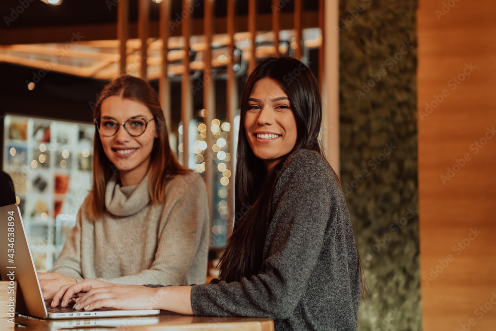 Two young business women sitting at table in cafe. Girl shows colleague information on laptop screen. Girl using smartphone, blogging. Teamwork, business meeting. Two young business women sitting at table in cafe. Girl shows colleague information on laptop screen. Girl using smartphone, blogging. Teamwork, business meeting.
