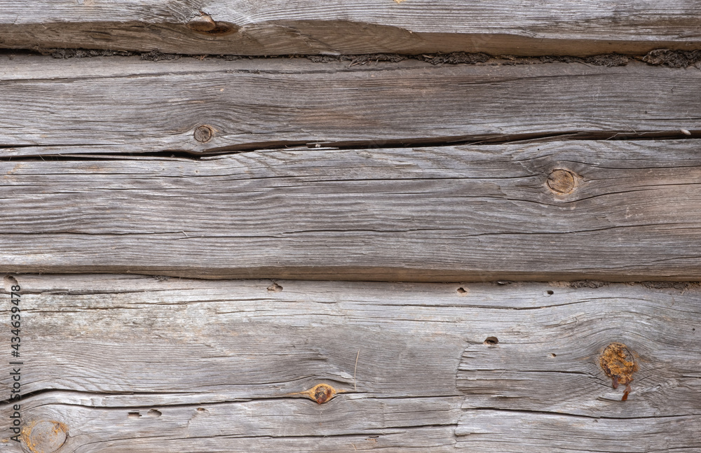 Old weathered wooden logs, eaten by a bark beetle. Wood texture. Old weathered wooden logs, eaten by a bark beetle. Wood texture.